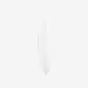 4.webp