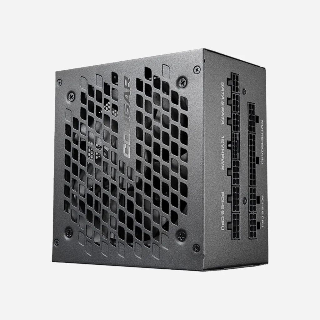 Cougar GEX X2 850W 80 PLUS Gold Power Supply (2).webp