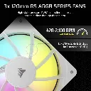 Artboard 10.webp