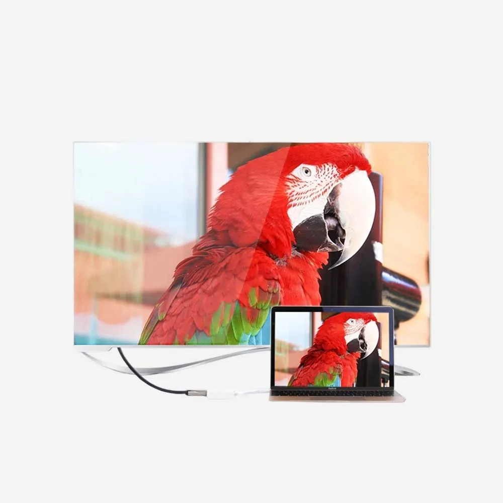 Artboard 3.webp