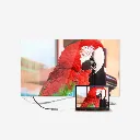Artboard 3.webp
