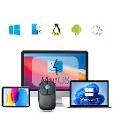 Artboard 5.webp