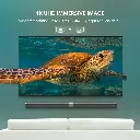 Artboard 3.webp