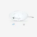 Artboard 3.webp