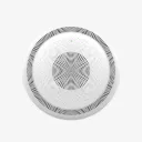 Grandstream GSC3516 SIP/Multicast Talk-Back Speaker