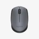 Logitech M170 WL Mouse Gray 910-004642