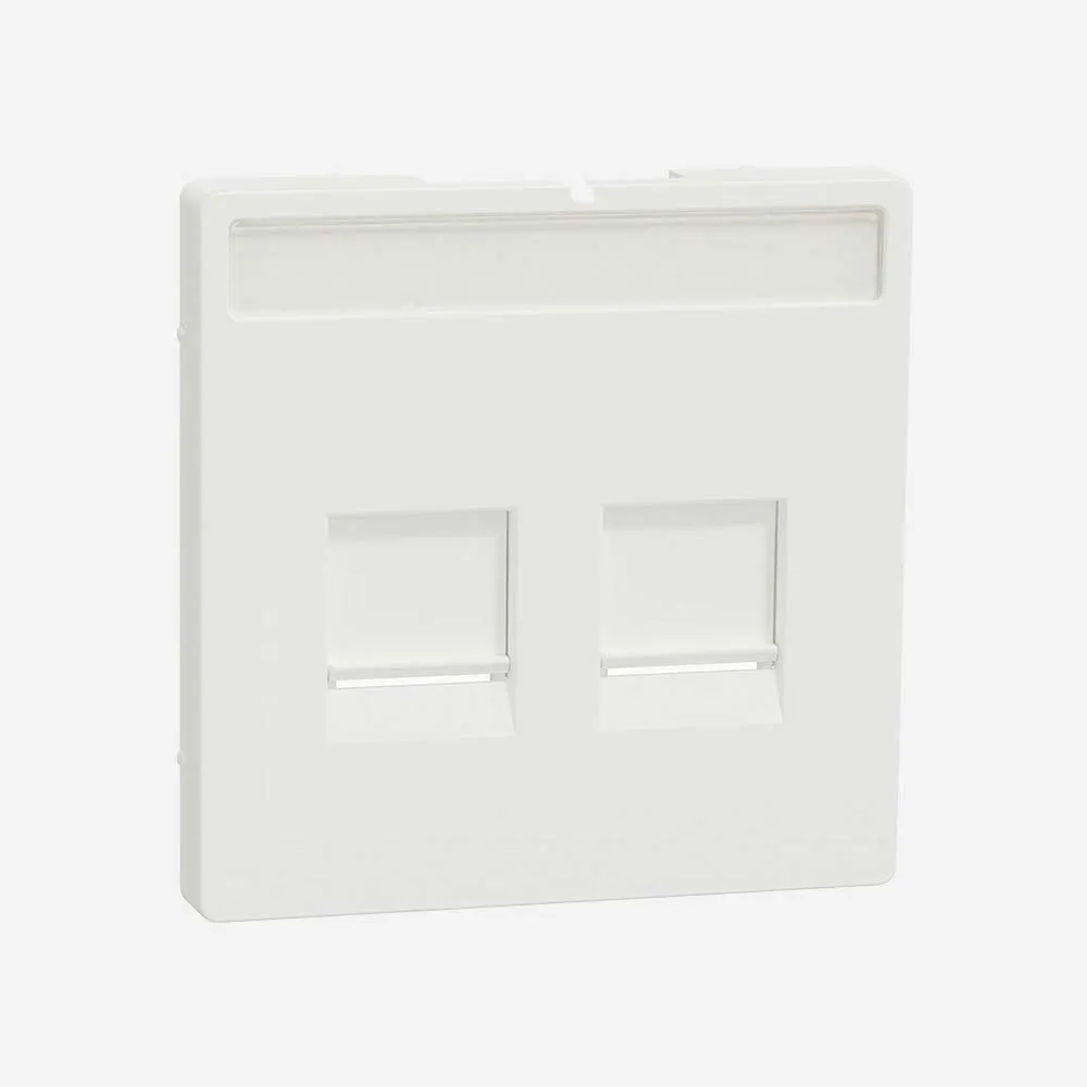 Schneider Electric White 2 Gang Cover Plate